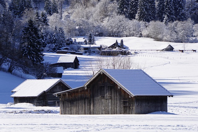 Free Winter Landscape Winter photo and picture