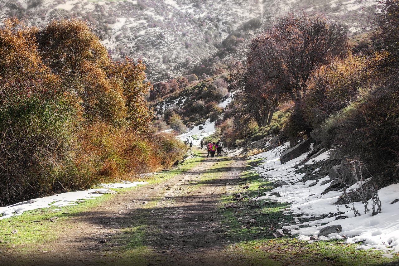 Mountain - free online jigsaw puzzle photo
