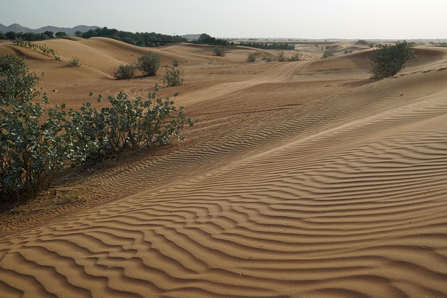 Free Desert Travels photo and picture