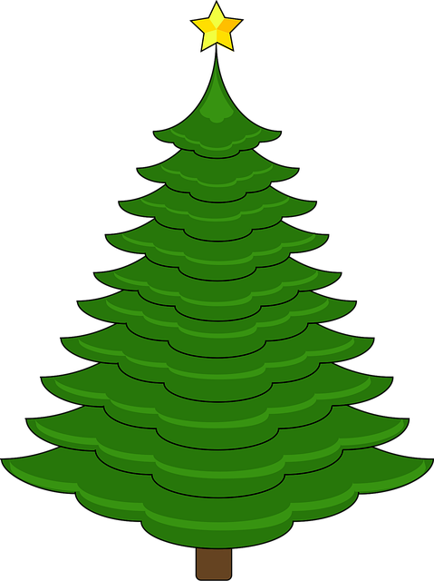 Weihnachtsbaum, Baum, Weihnachten