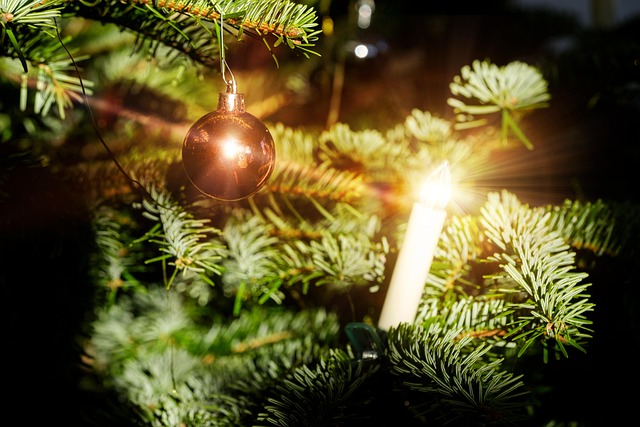Jpg Christms 10,000+ Free Jesus Christ & Christmas Images - Pixabay