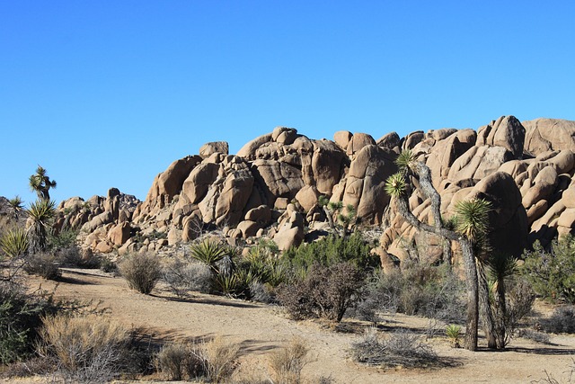 Free National Park California photo and picture