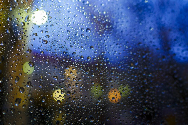 Free Rain Raindrop photo and picture
