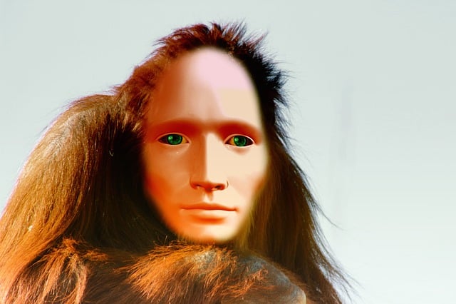 Free evolution orangutan ape illustration