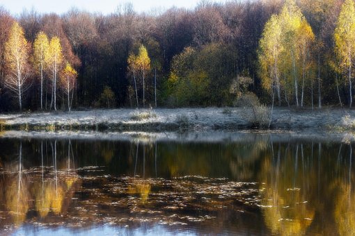 Free Autumn Nature photo and picture