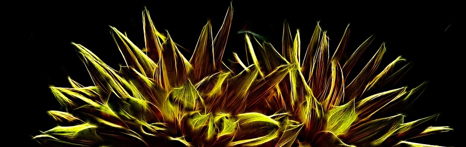 TÉLÉCHARGER FRACTALIUS GRATUIT GRATUIT GRATUIT GRATUIT FRACTALIUS TÉLÉCHARGER