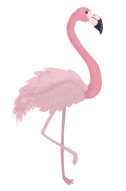 Free flamingo animal zoo illustration
