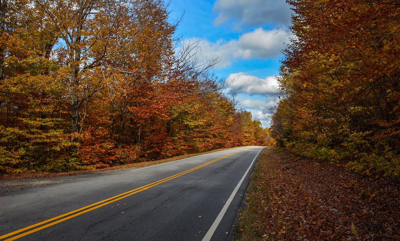 Road - free online jigsaw puzzle photo
