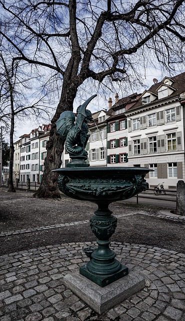 Free Fountain Basilisk photo and picture