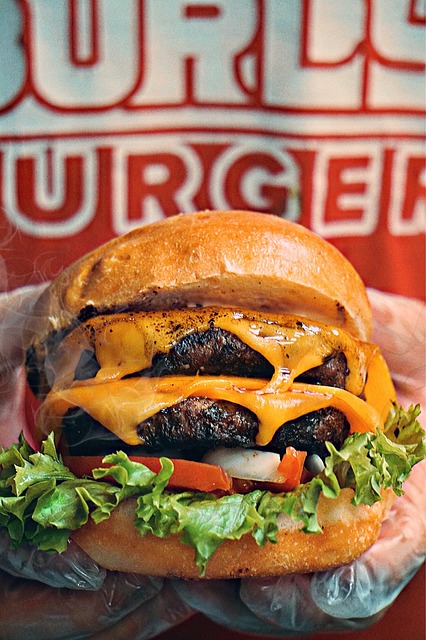 Burger, burgers, food and cheese — photo by hectordarismendi