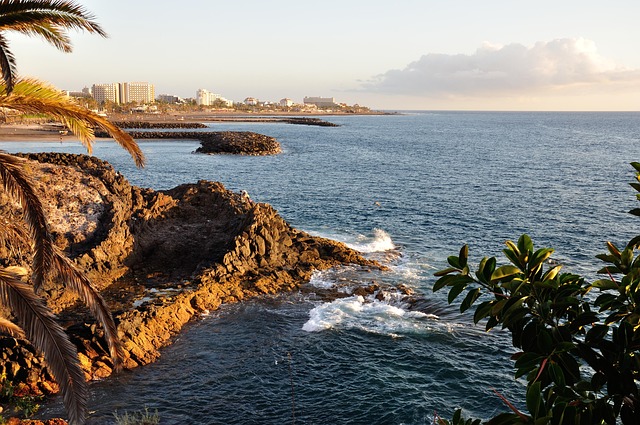 Tenerife, Kyst, Natur, Surf, Ocean