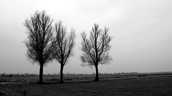 Plus De 500 Images De Melancolique Et De Melancolie Pixabay