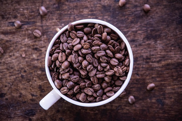 Free Coffee Cup photo and picture