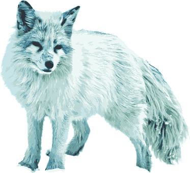 Free Arctic Fox White Fox vector and picture