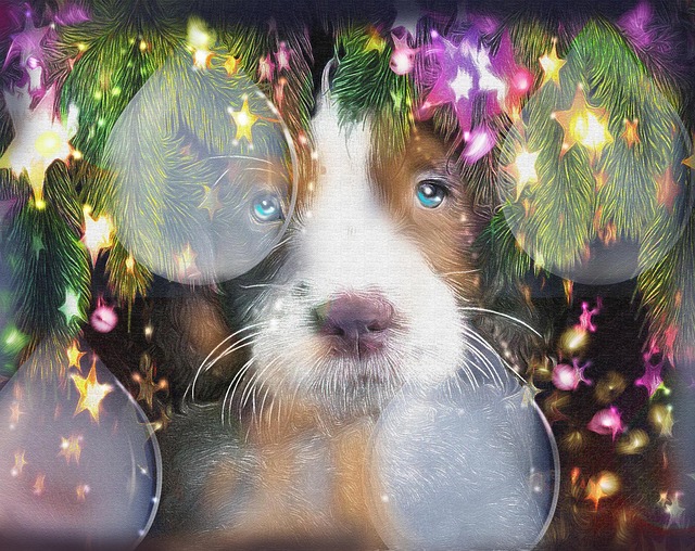 Free christmas puppy illustration illustration