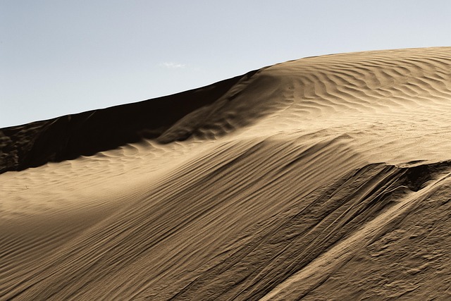 Free Desert Barkhan photo and picture