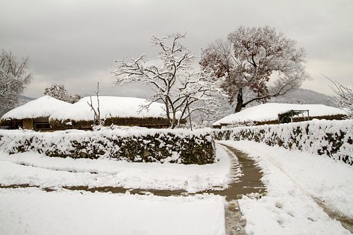 Nieve, Invierno, Paisajes De Invierno