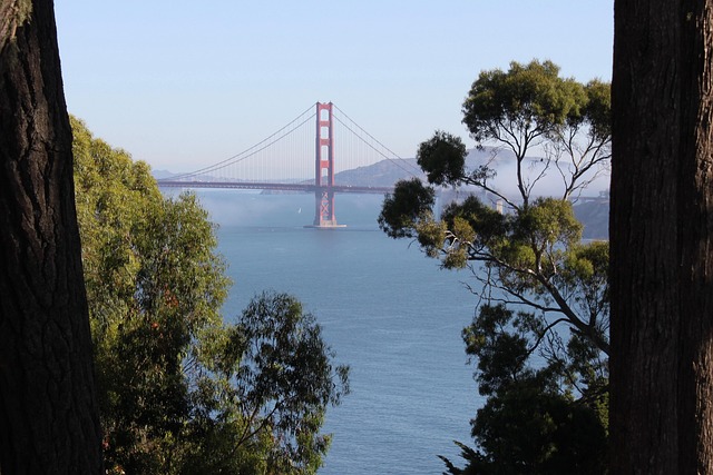 Free San Francisco California photo and picture