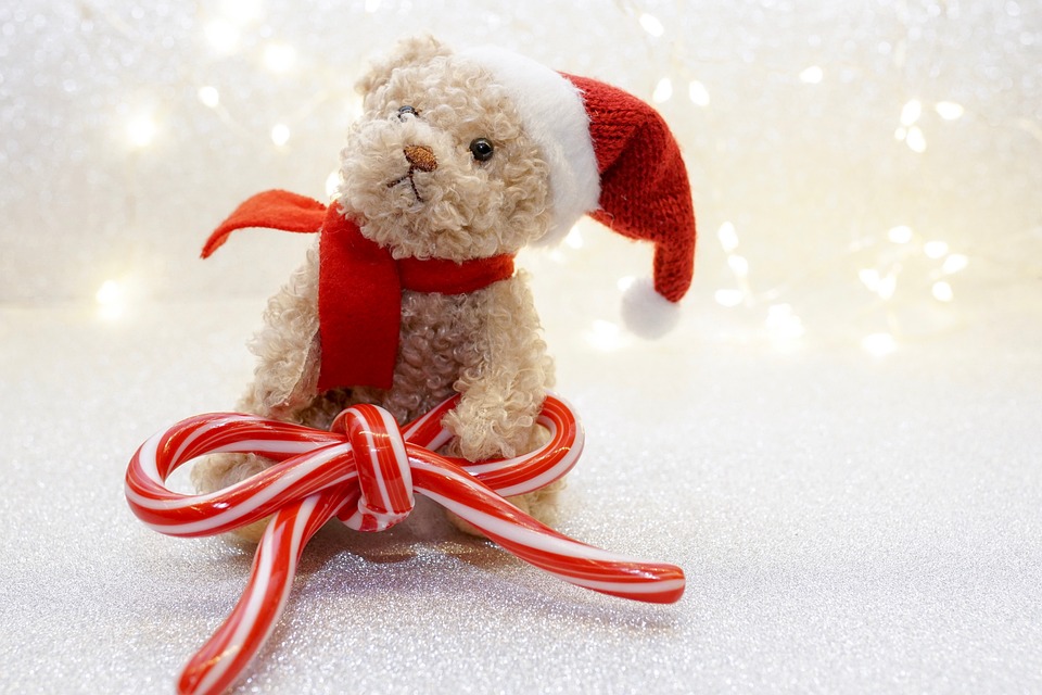 Christmas Advent Teddy - Free photo on Pixabay