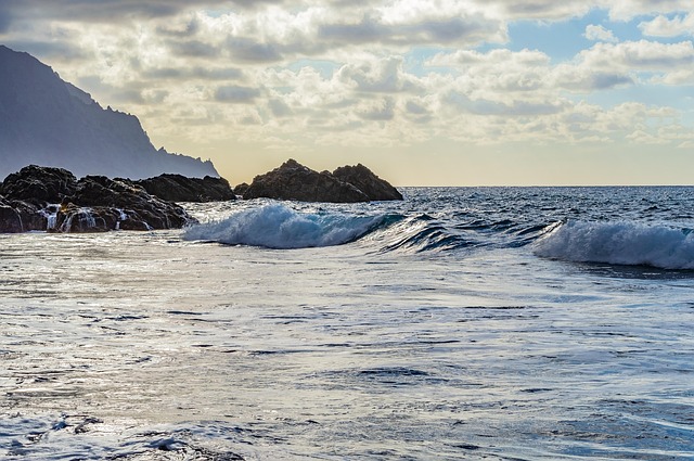 Free Beach Wave photo and picture