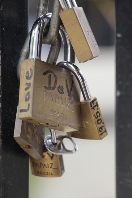 Free Padlock Love photo and picture