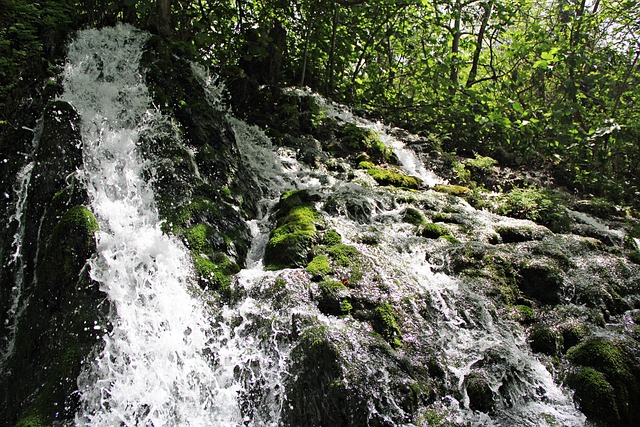 Free Waterfall Nature photo and picture