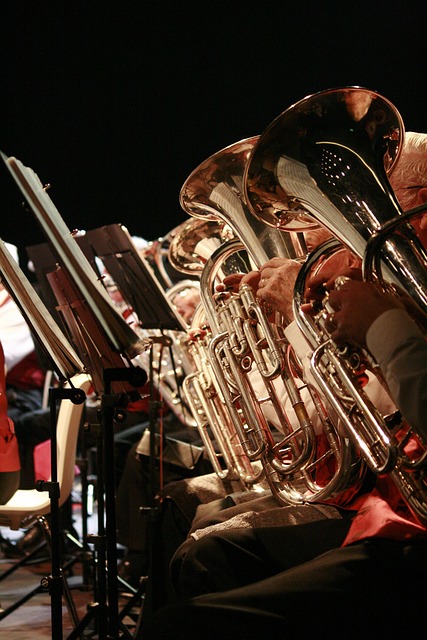Free Musical Instrument Orchestra photo and picture