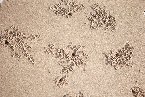 Sand, Land, Strand, Solnedgang
