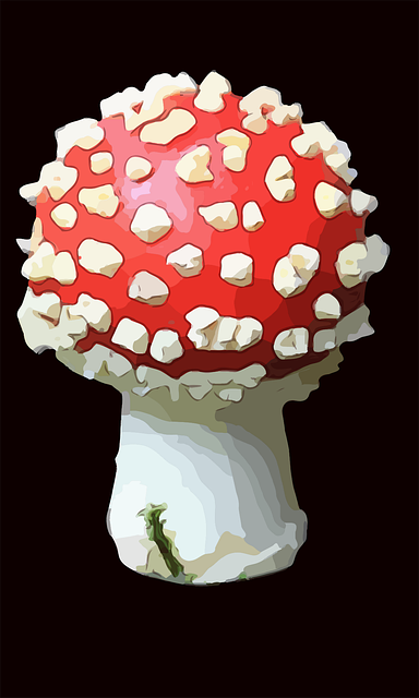 Free mushroom fungi fungus vector
