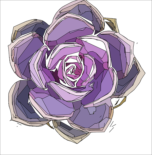 My Image 47