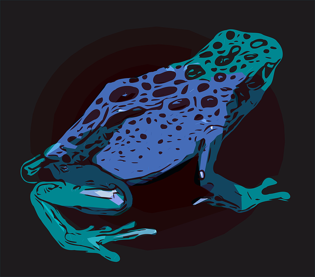 Rana, Animal, Anfibio, Naturaleza