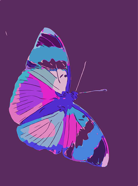 Free butterfly bug insect vector