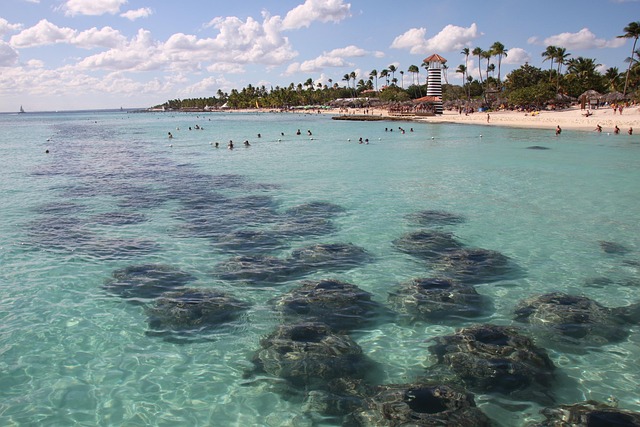 Free Dominican Republic Island photo and picture