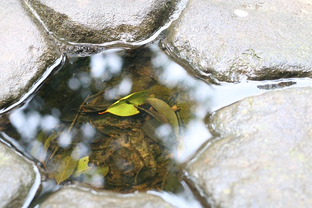 Free Stone Water photo and picture