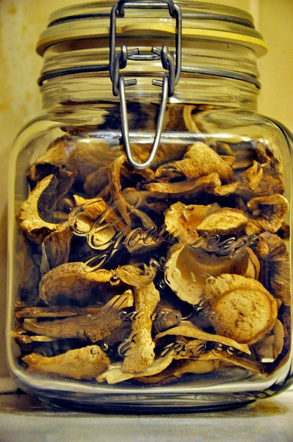 Free Mushrooms Jar photo and picture