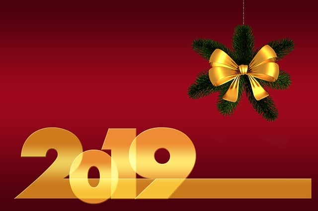 Free christmas new year's day fir branch illustration