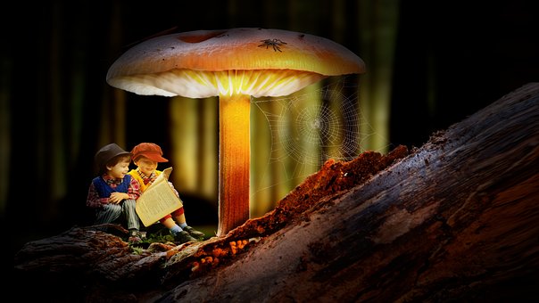 Free Fantasy Magical Fantasy photo and picture