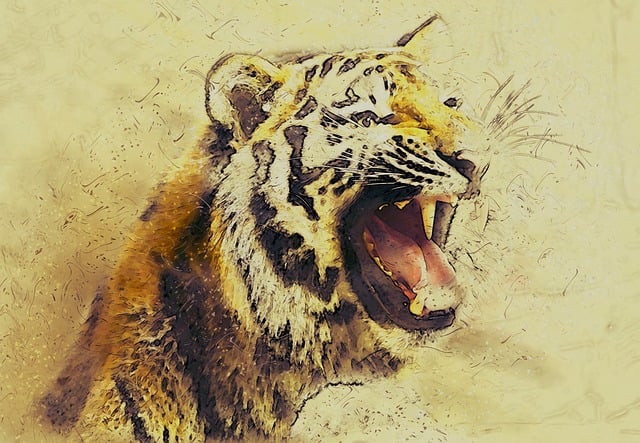 Dier, Tijger, Grote Kat, Roofdier