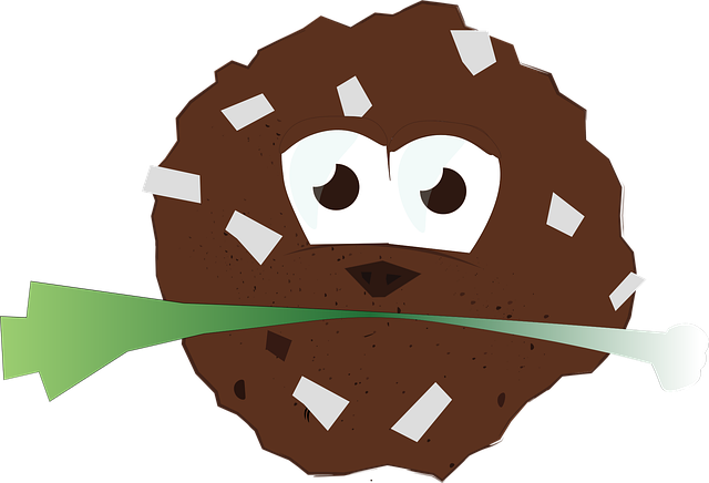 Free meatballs onion leek vector