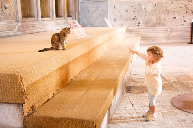 Free Child Woman photo and picture