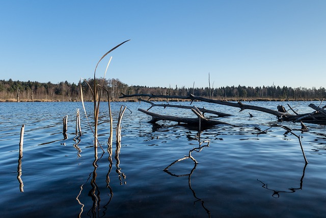Lago, Naturaleza, Paisaje, Agua