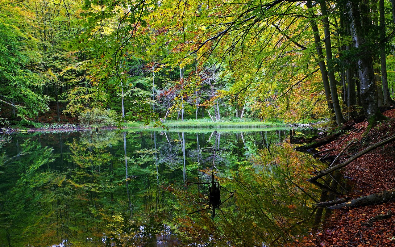 Poland - free online jigsaw puzzle photo