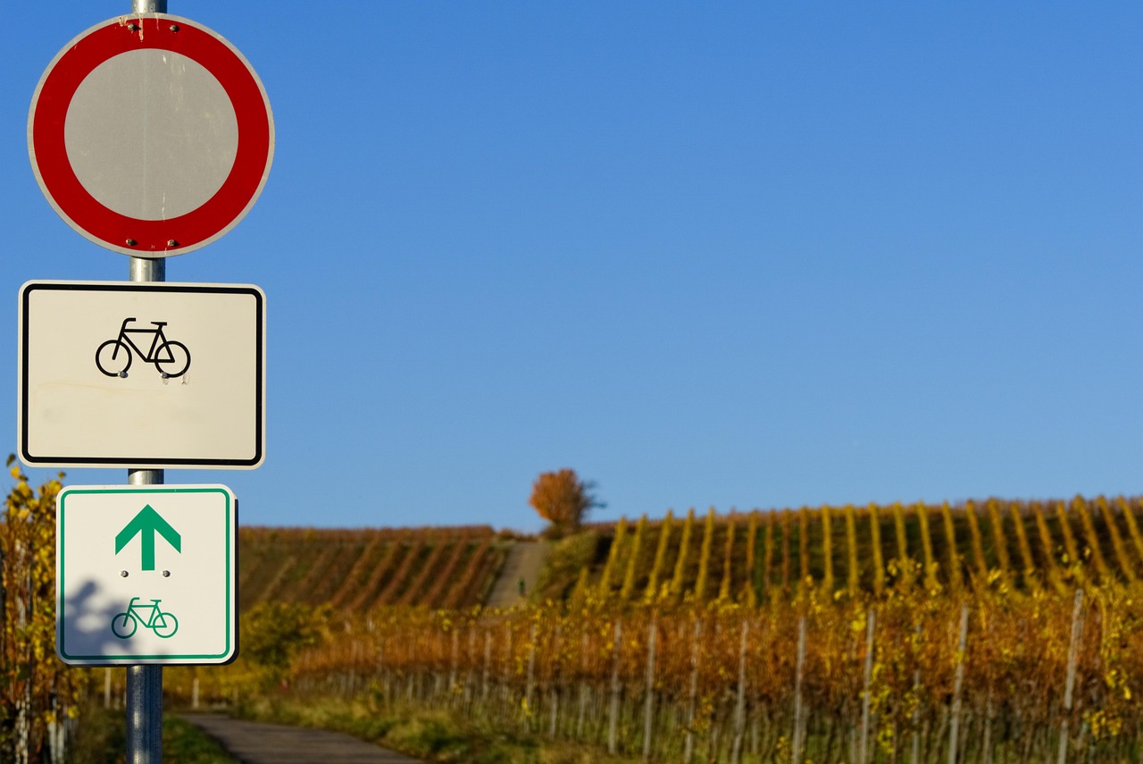 Bicycle Path - free online jigsaw puzzle photo