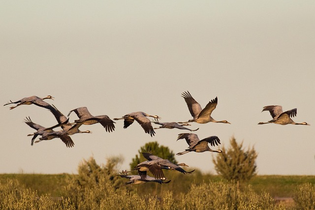 Free Spain Extremadura photo and picture