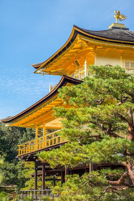 Free Temple Pagoda photo and picture