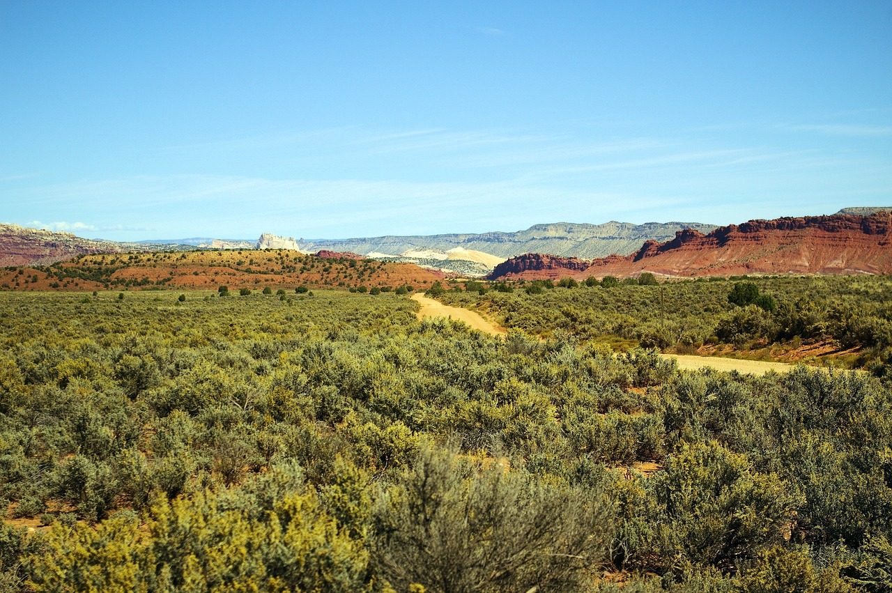 Parias Example 20+ Free Bisiklet Parias & Sagebrush Images - Pixabay