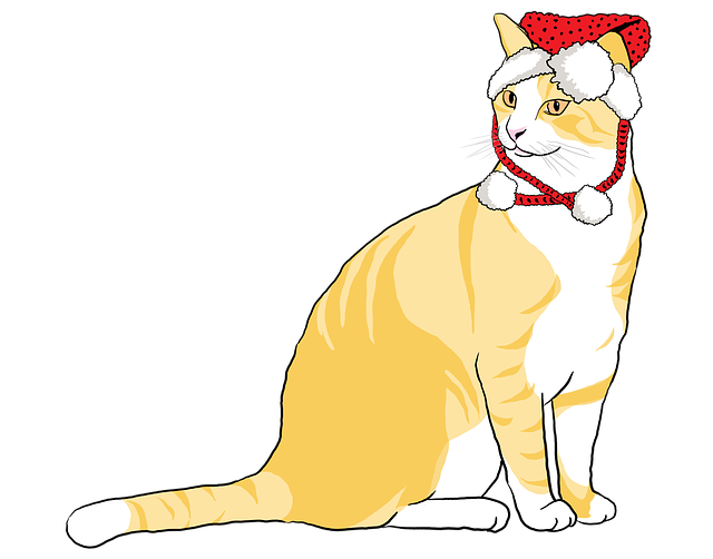 Котка, Коледно Коте, Животно
