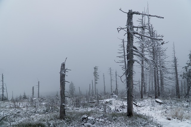 Free Winter Mountains photo and picture