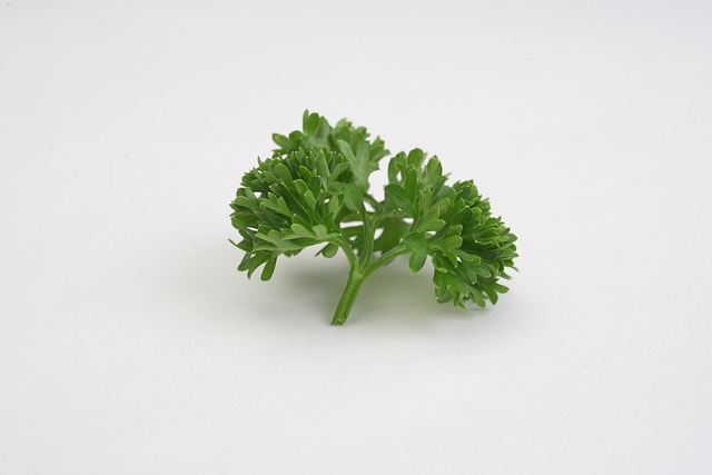 Free Parsley Vegetable photo and picture