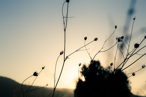 Free Pattern Sky photo and picture